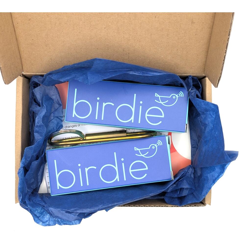 BIRDIE Personal Safety Alarm Keychain 2 Pack Silver & Metallic Gemstone Blue NEW